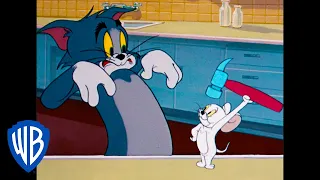 Tom y Jerry en Español | El peligroso ratón blanco | WB Kids