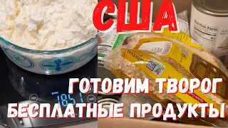 США Бесплатная еда в Америке / Заказ с Амазона / Делаю творог / Наши будни