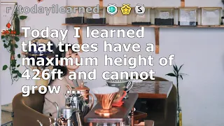 Today I learned that trees have a maximum height of 426ft and cannot grow ...