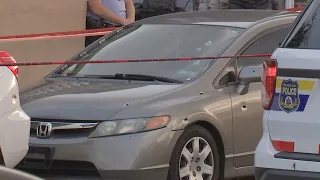 Police ID woman gunned down while inside car