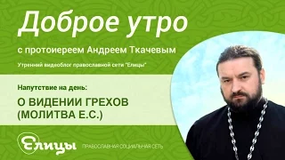 О видении грехов. протоиерей Андрей Ткачев. Духовное зрение или взгляд в себя, зачем видеть грехи?