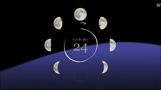 Moon phases have effect on sleep, new study