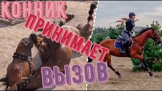 ВЫЗОВ ПРИНЯТ/КОННАЯ ВЕРСИЯ 🐴✅