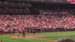 Cardinal Fans Reaction To Pujols’s Home Run Against St. Louis