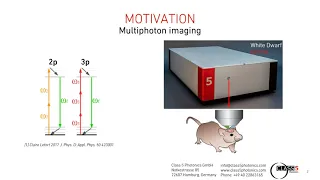 High power OPCPA system for in-vivo 2- and 3-photon brain imaging