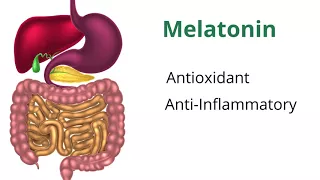 Understanding Melatonin with Dr. Carrie Jones