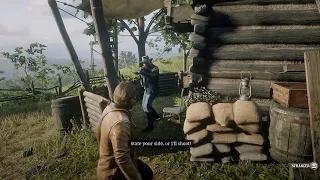 This Is How You Should Help The Old Man Who Thinks The Civil War is Still going On - RDR2