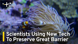 Scientists Using New Tech To Preserve Great Barrier Reef Coral | TaiwanPlus News