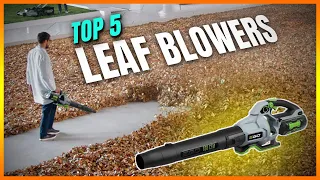 Best Leaf Blowers 2024 - Top 5 Leaf Blower Picks