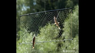 HOW TO MAKE A FISHING SCREEN WITH YOUR HANDS l Fishing