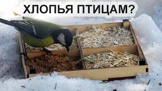 Кормление птиц хлопьями 🐥 Неудачный опыт с кормами для синиц и воробьев