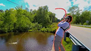 Fishing Off The Side Of a HIGHWAY For MONSTER Bowfin