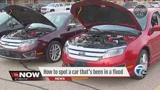 How to spot a used car that has been in a flood