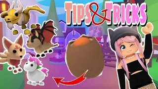 How to Hatch a *LEGENDARY* out of a Cracked Egg 🥚 Tips and Tricks Adopt Me #roblox #adoptme