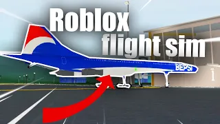I tried a ROBLOX FLIGHT SIMULATOR