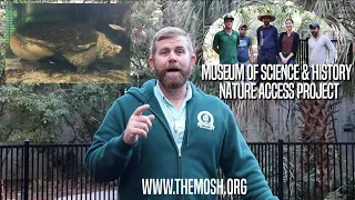 Museum of Science & History, Jacksonville (MOSH) Nature Access Project