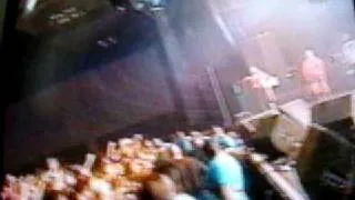 Pantera Phil falls off stage at concert