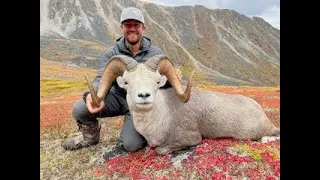 Yukon Stone Sheep Hunt 2021