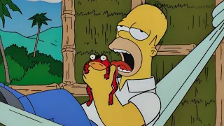 The Simpsons S11E15 - Homer Licking Poison Frog And Hallucinates | Check Description ⬇️