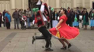 cueca   chilena  campeones  folclor  bailes programa  monteaguilino suscríbete