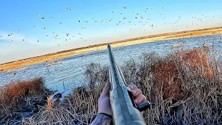 UNFORGETTABLE Day Duck Hunting!! (200+ in the Decoys)