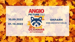 Осенняя актуализация Angiopicture - 2022  30 сентября 2022 г.