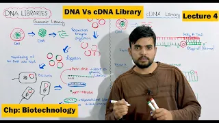 DNA Libraries | Genomic and cDNA Library | Video 4