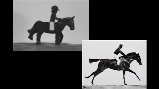 First Stop Motion Ever: THE HORSE IN MOTION (Eadweard Muybridge, 1878) - Side by Side