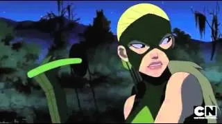 Young Justice-We are young (fun)