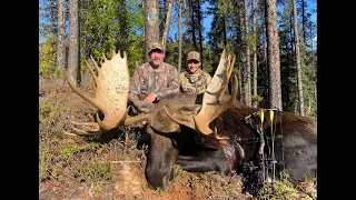 Giant Archery Bull Moose at 15yds