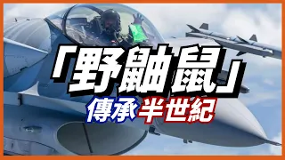 【野鼬鼠戰機】電子戰功能可執行反製作戰任務，使敵防空雷達一片雪花！傳承半世紀，多款美軍經典戰機都發展過！台空軍也有這種戰機！