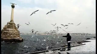 Чайки едят хлеб прямо с рук! Зима. Севастополь. Набережная.