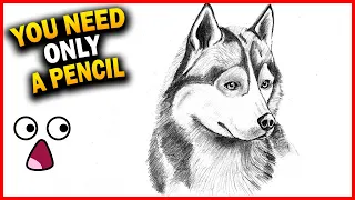 🥇 how to 🅳🆁🅰🆆 a HUSKY easy step by step for beginners  how to draw a realistic husky dog