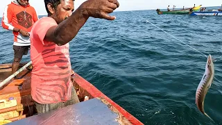 Catching Barracuda Fish in Sea