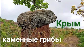 #Крым Каменные грибы
