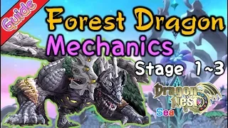 [Guide] Forest Dragon Mechanics"Part 1" (Stage 1~3R) l  SpeedColie - 【DragonNest SEA】