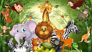 CUTE LITTLE ANIMALS - HIPPO, CAT, SQUIRREL, LION - ANIMAL SOUNDS|  ANIMAL MOMENTS