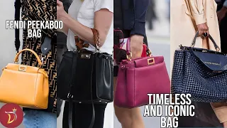 The FENDI PEEKABOO *LUXURY BAG* Overview (Everything YOU Need To Know)