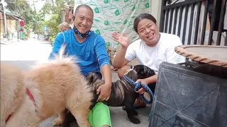 Dog Shooter VLOG #10 (Chow-Chow) Natural Shoot