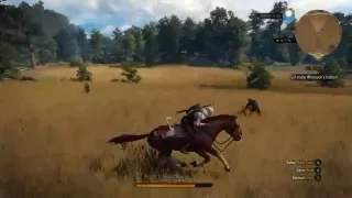 The Witcher 3 - Roach and I just horsing around