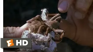 The Crocodile Hunter: Collision Course (6/10) Movie CLIP - Exploring a Spider Hole (2002) HD