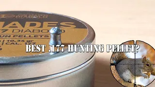 BEST .177 HUNTING PELLET ?   JSB Hades Review Part 1/2