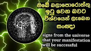 Signs From The Universe Your Manifestation Will Be Successful | sinhala | Path To Wisdom | LOF
