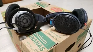 Sennheiser HD600 vs HD800S