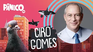 CIRO GOMES - PÂNICO - AO VIVO - 29/09/20