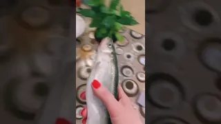 Корюшка летом и зимой🐟🐟🐟