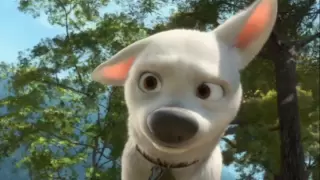 Bolt - Dog Face (HD Best Quality)