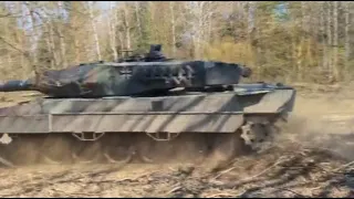 Пара танків Leopard виходить на полювання