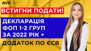 Як правильно подати декларацію ФОП 1-2 групи через електронний кабінет за 2022 рік. ПОВНА ІНСТРУКЦІЯ