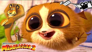 MADAGASCAR 2 FILM COMPLET FRANÇAIS DU JEU La Grande Évasion Story Game Movies